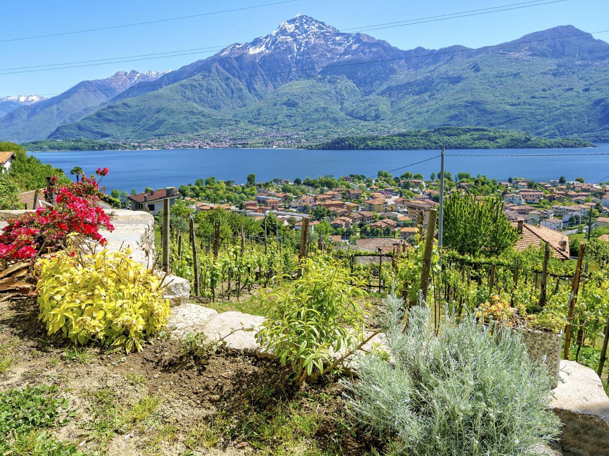 Appartamento Locazione Turistica Nonna Nina
