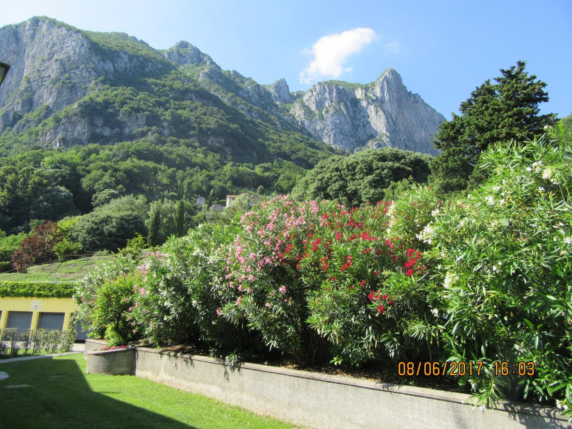 Montebello Homestay *