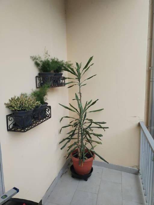 Apartment Luce *