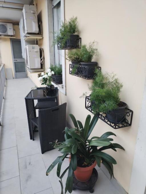 Apartment Luce Como