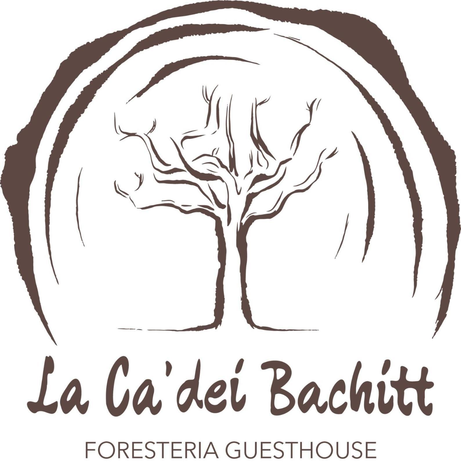 Foresteria Ca' Dei Bachitt * Lierna