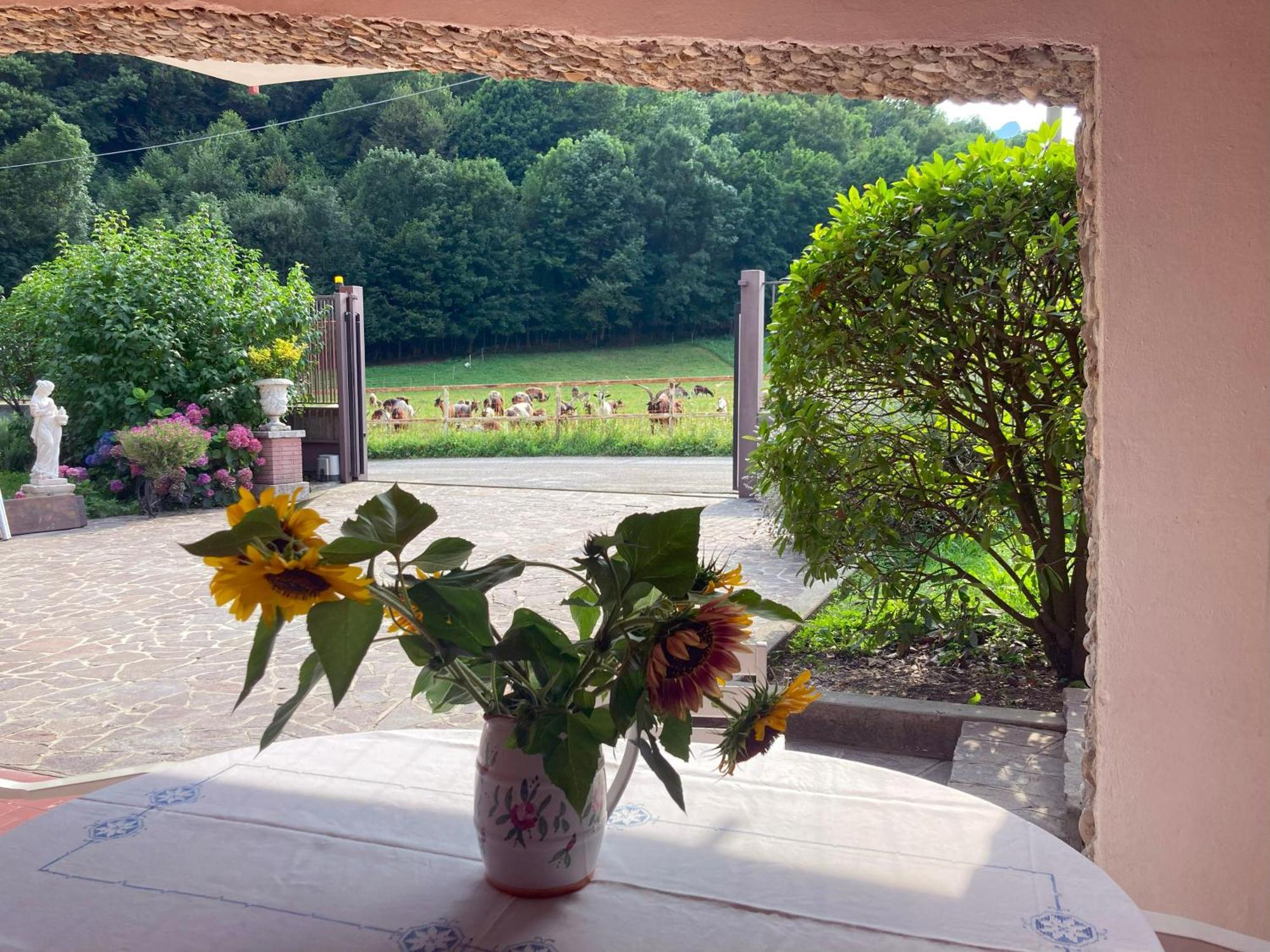 Apartment Iris - Relaxing Alpine Getaway At *