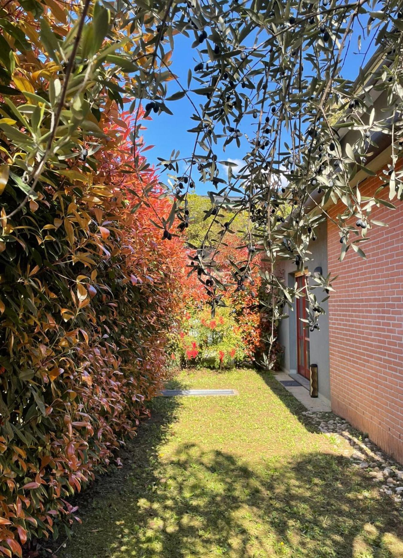 L'ulivo Di Apartment Como