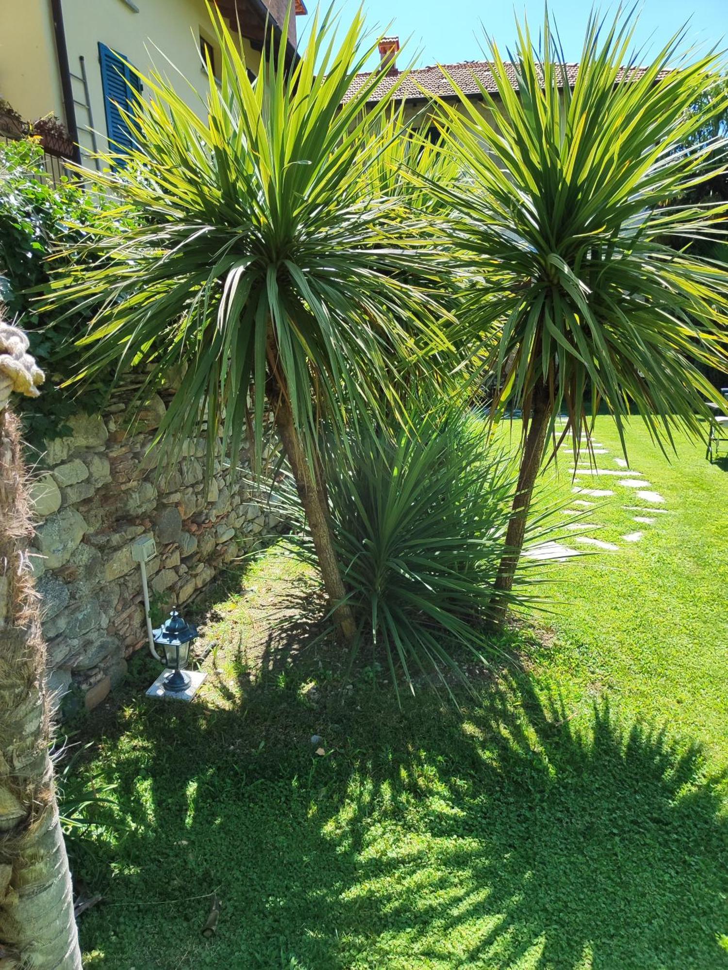 Casa Lumaca Bed & Breakfast Tremezzo