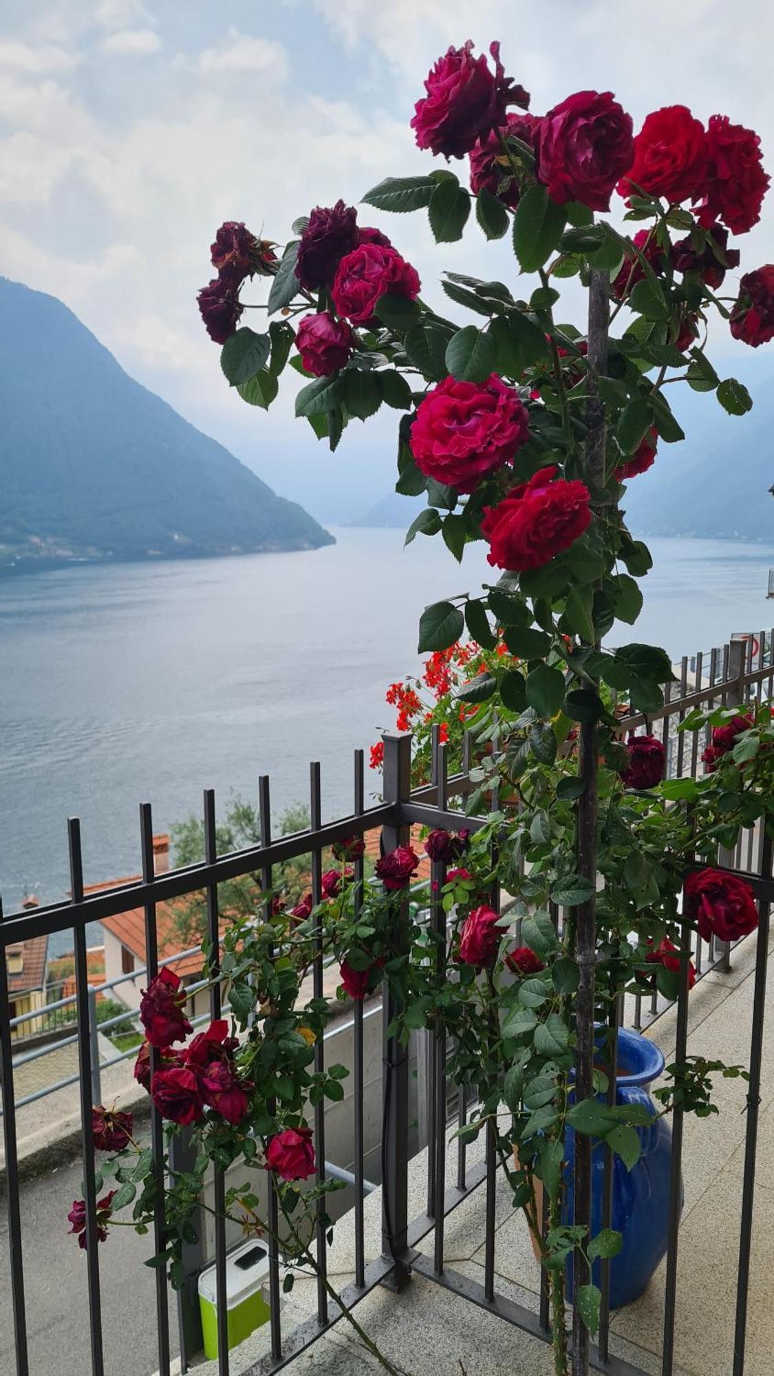 Panoramica Di Appartamento