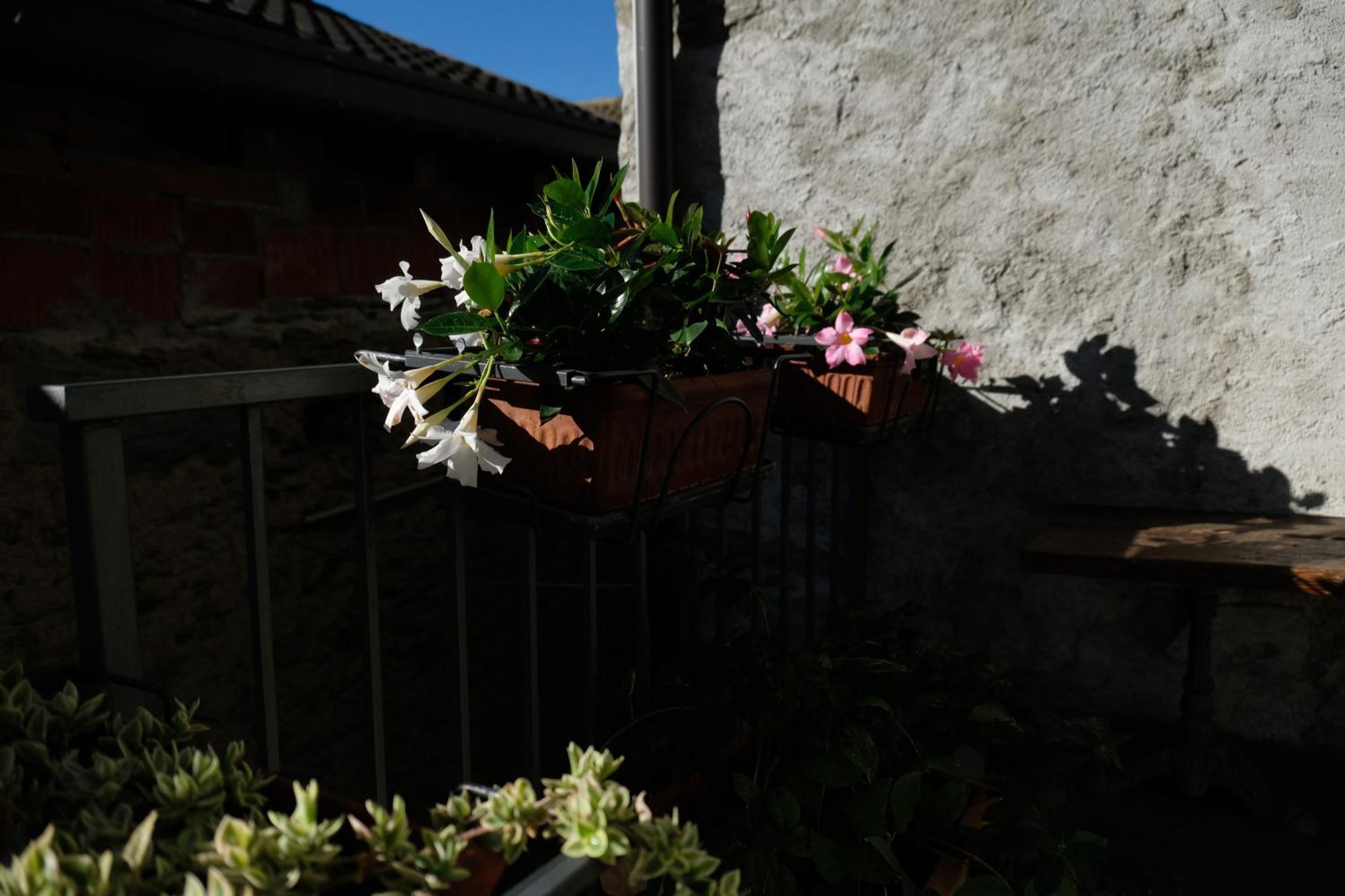 Le In Pietra La Torretta Holiday home Montemezzo
