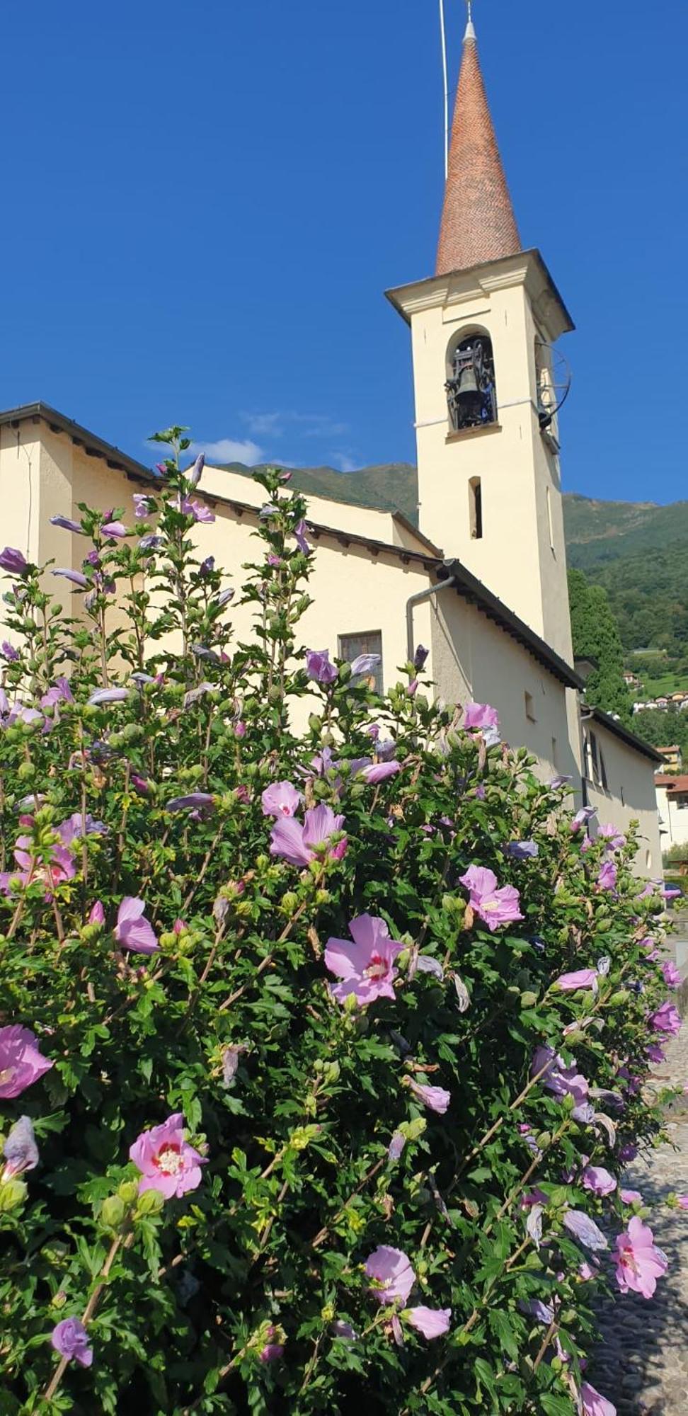Laguna Appartamento