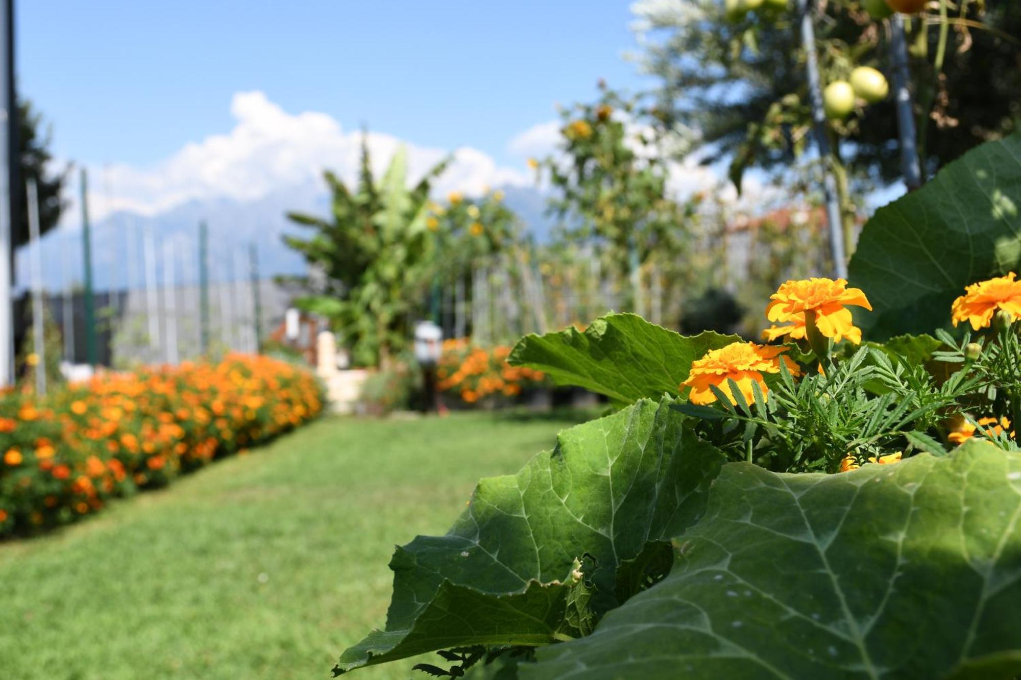 Apartment Il Giardino Dei Ciliegi Colico
