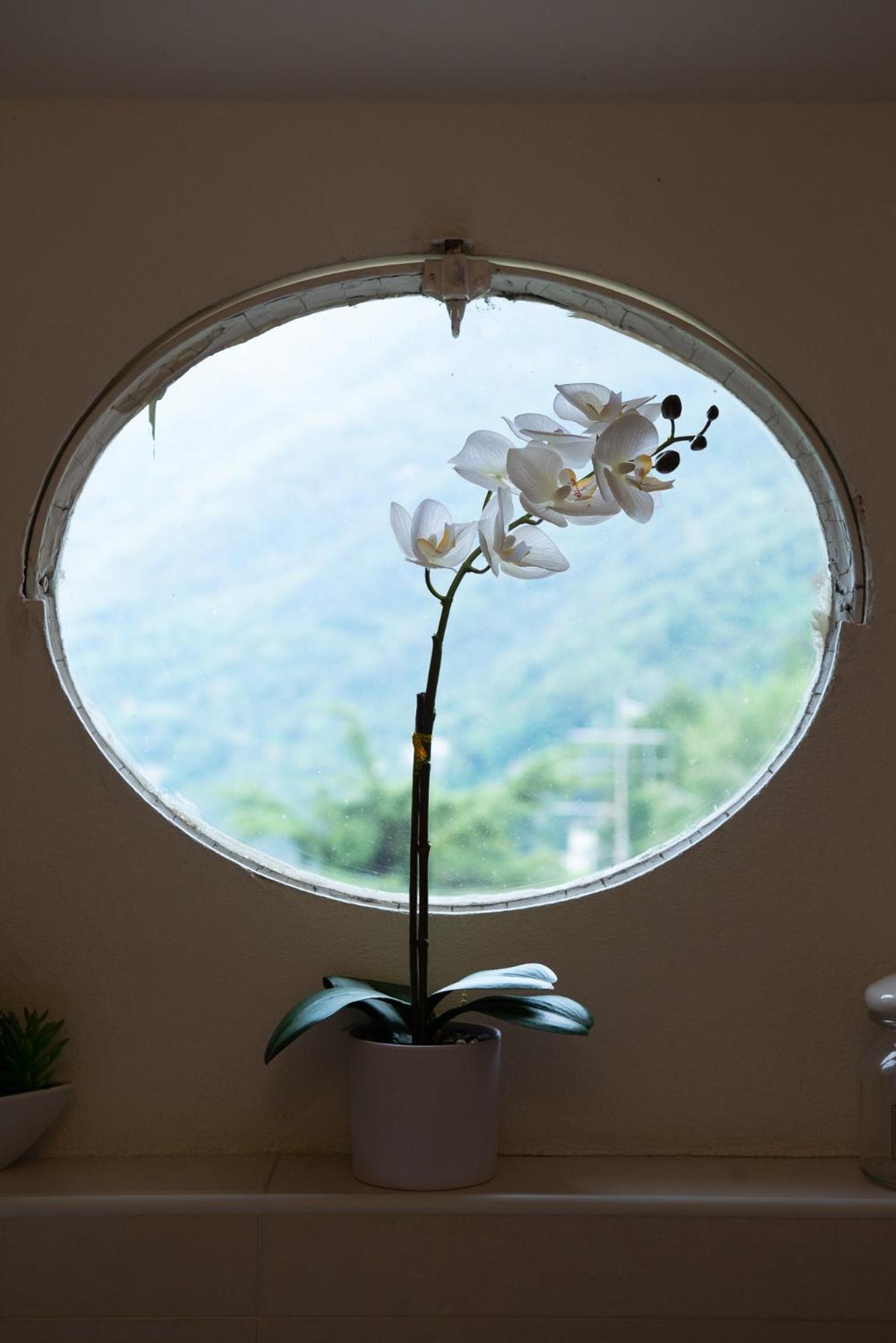 Appartamento Bella Vista Sul Di *