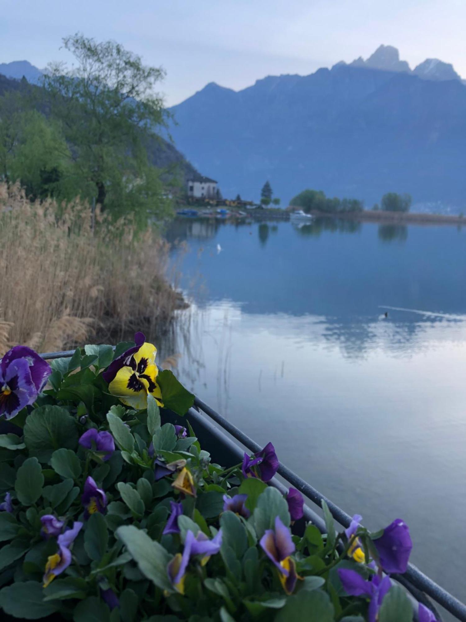 Bed & Breakfast Adeline Dascio