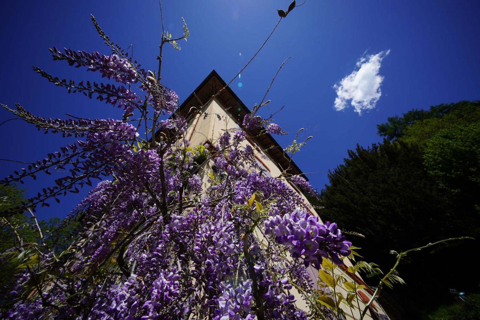 Bed & Breakfast Antica Dimora I Faggi Di San Giorgio *