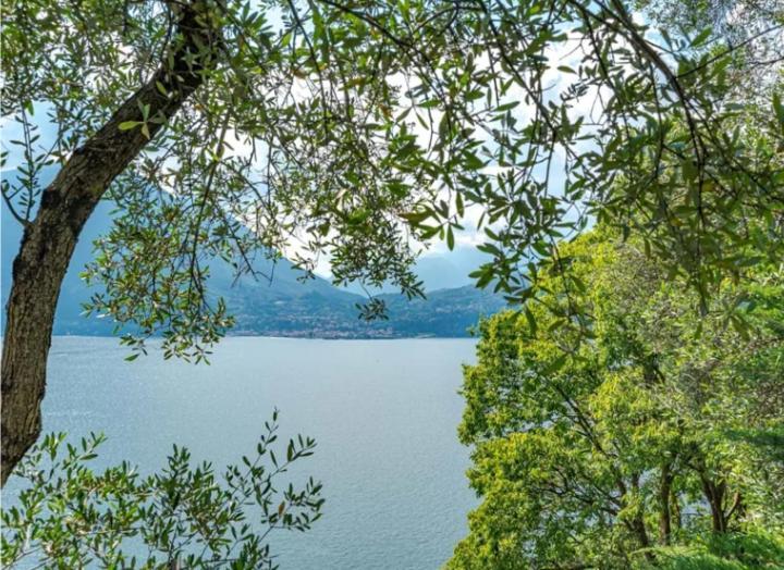 Varenna Wonders, Con Barbecue E Piscina Comoda Per 13 Ospiti Villa