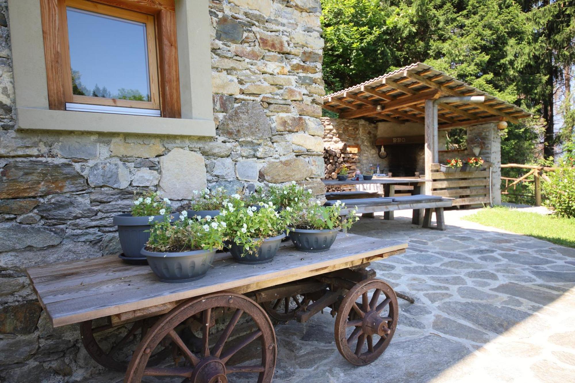 Cozy Nature House