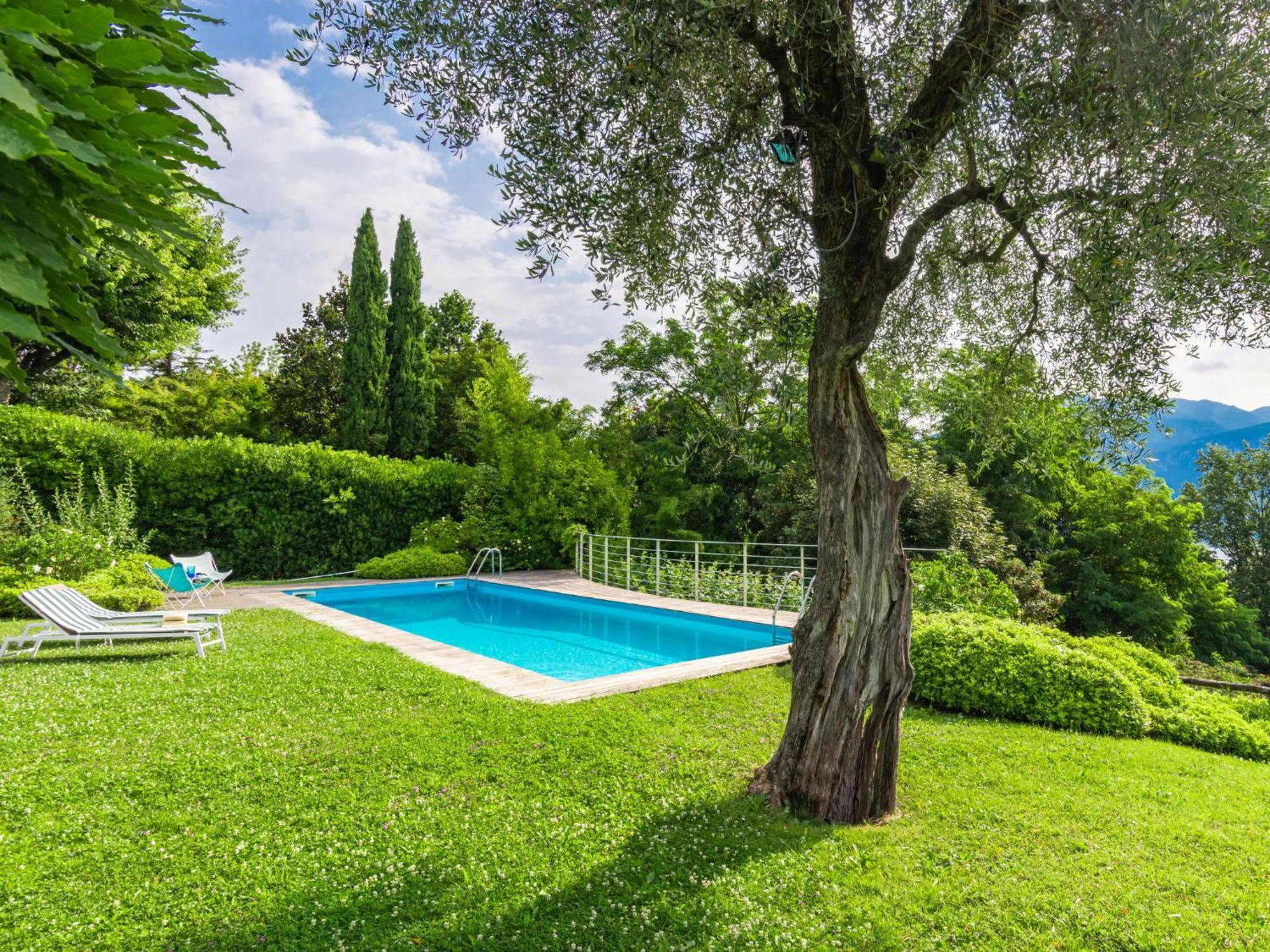 Ulivo By Interhome * Cadenabbia