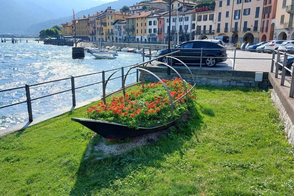 Casa Rosa Appartamento Domaso