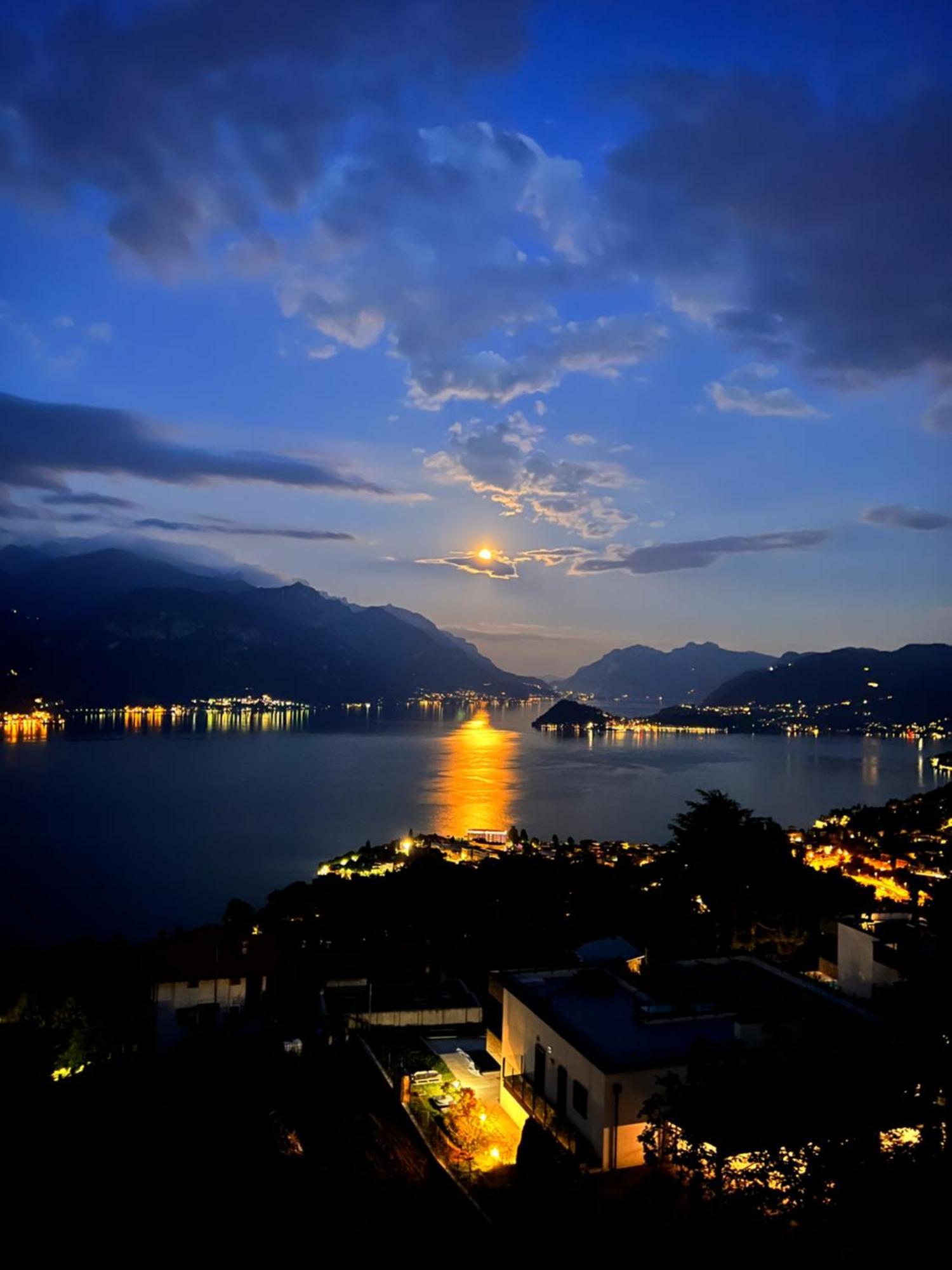 Landscapesilvia Acqua *