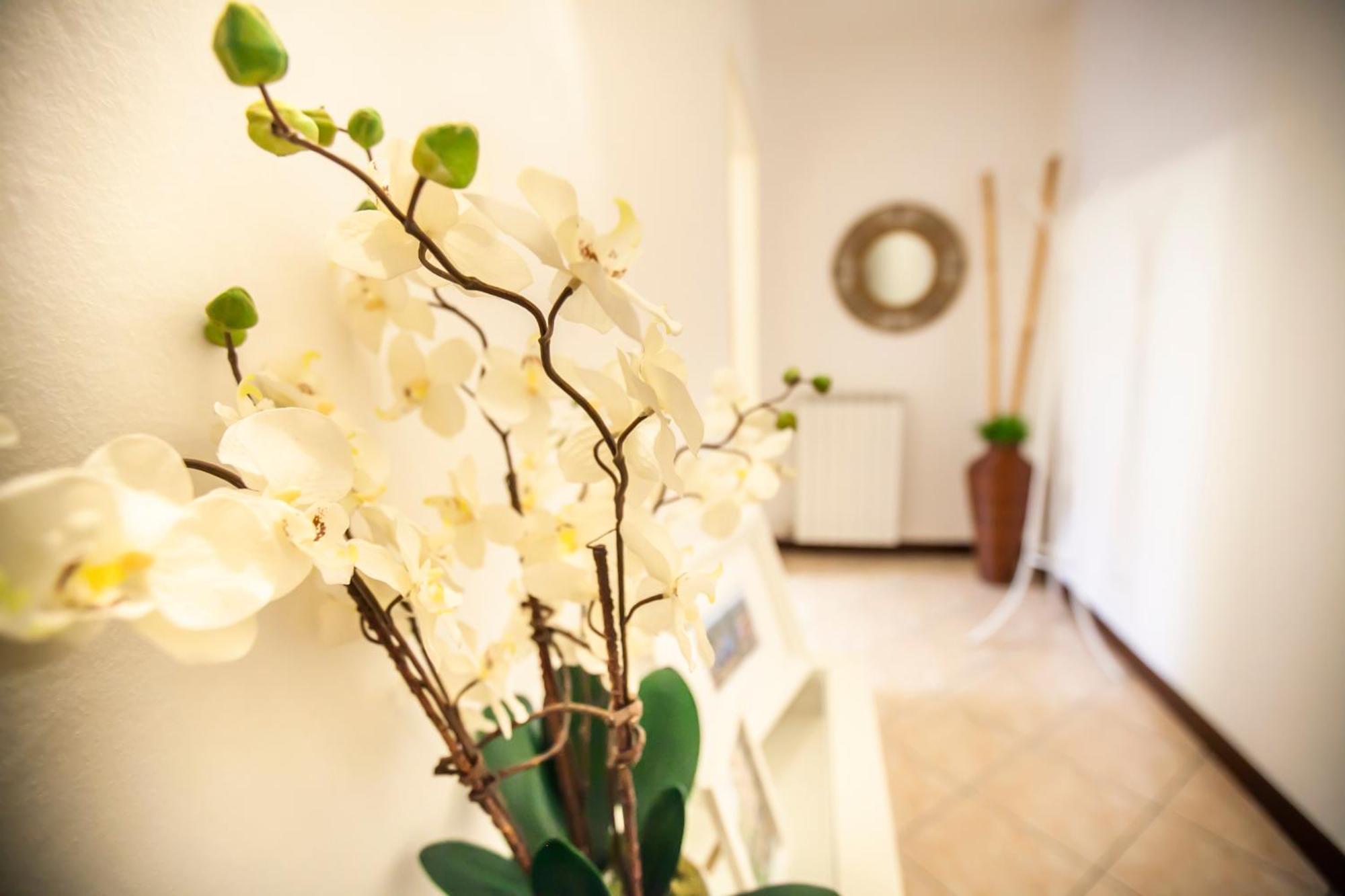 Apartment Lakeside Como