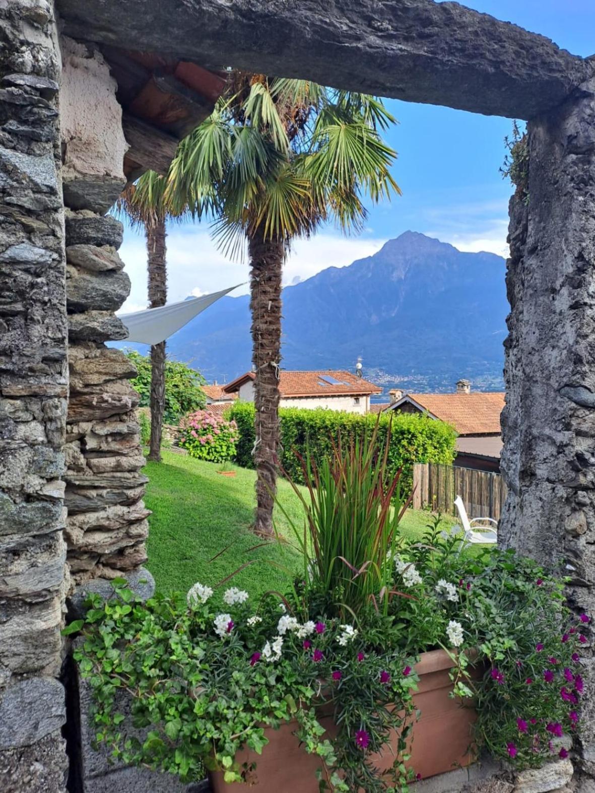 Apartment La Nicchia Comersee *
