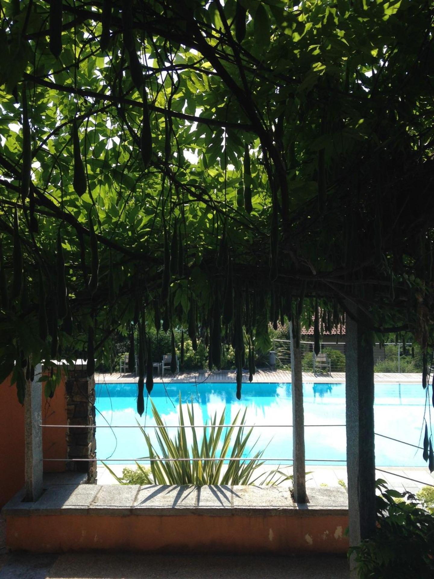 Casa Penny -