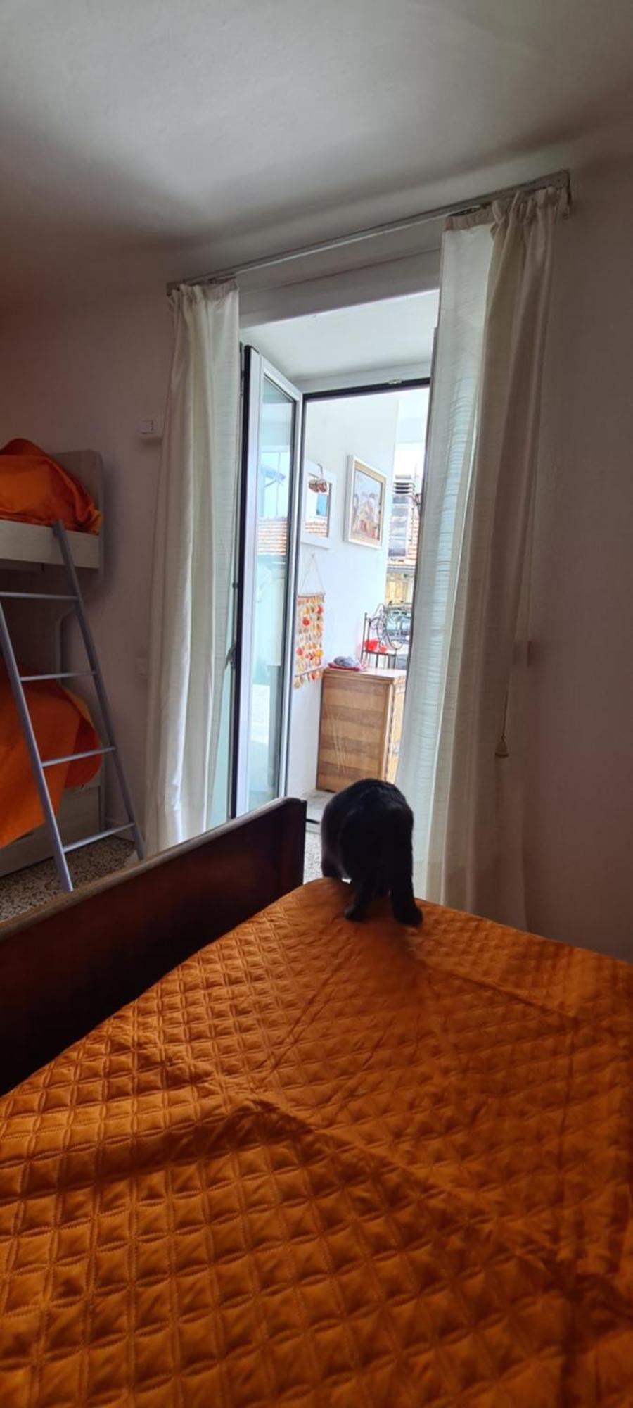 Apartment Da Ersilia Cernobbio