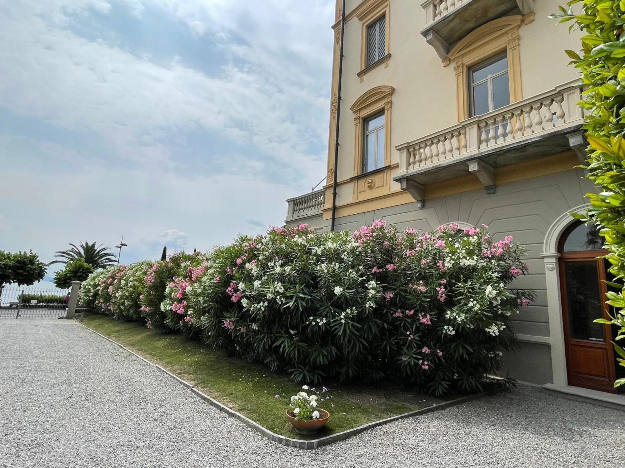Apartment Residenza Victoria