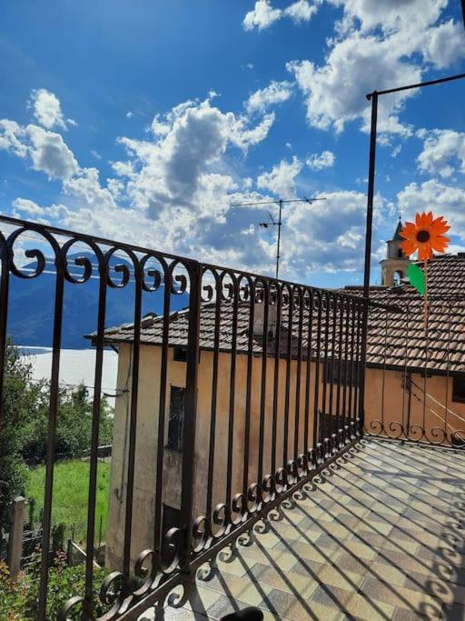 Casa Nonna Antonietta *