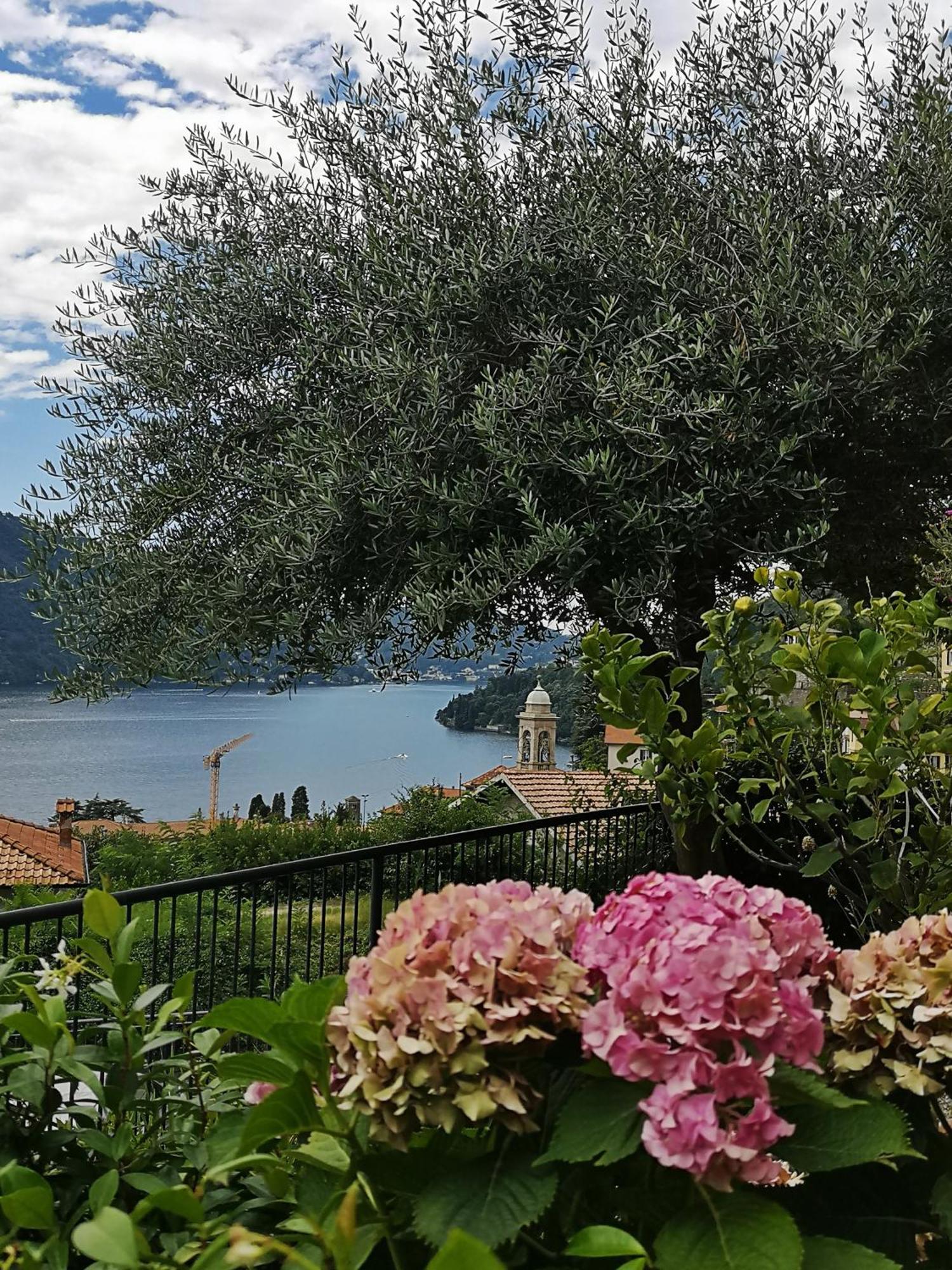 La Dolce Vista By My In Moltrasio