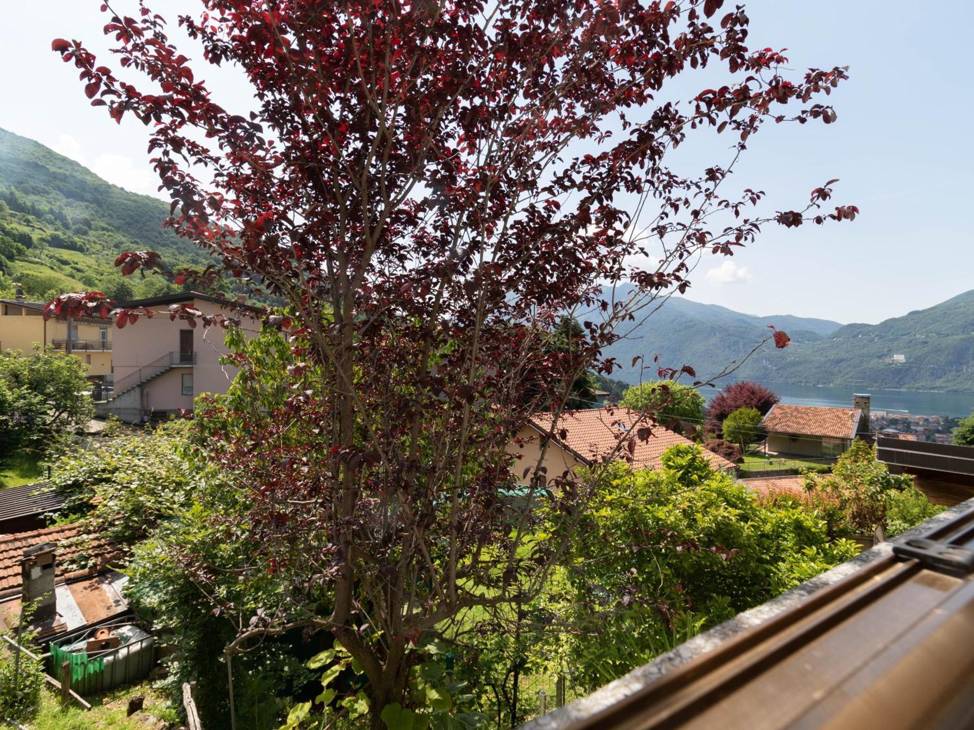 Apartment Mamma Ciccia - Mountains & Mandello del Lario