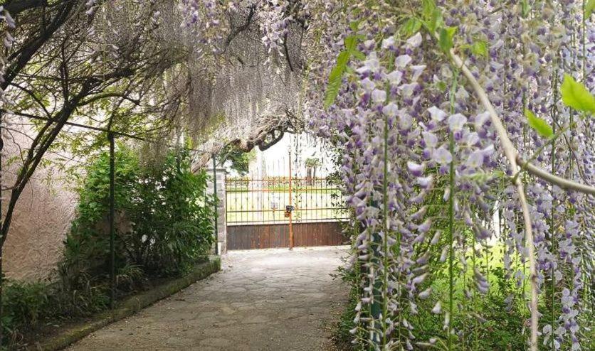 Foreground - Pet Friendly Stay- Garden-parking-lake View- Bike Friendly House Casa vacanze *