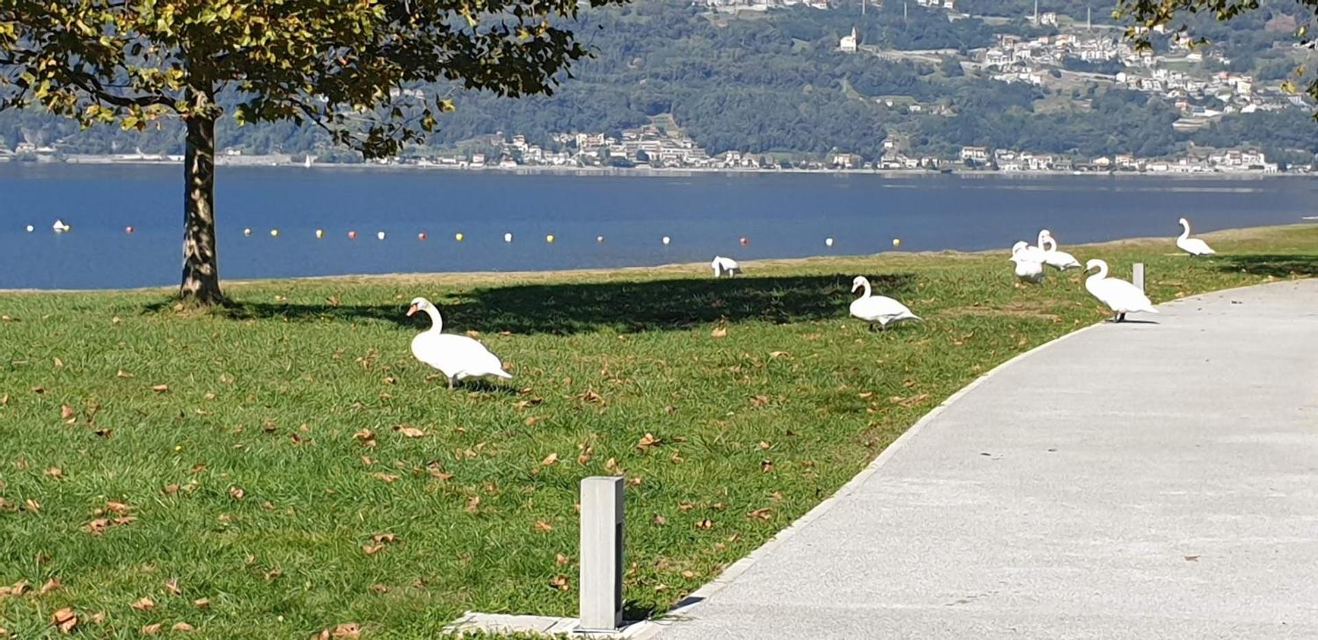 Foreground - Pet Friendly Stay- Garden-parking-lake View- Bike Friendly House * Colico