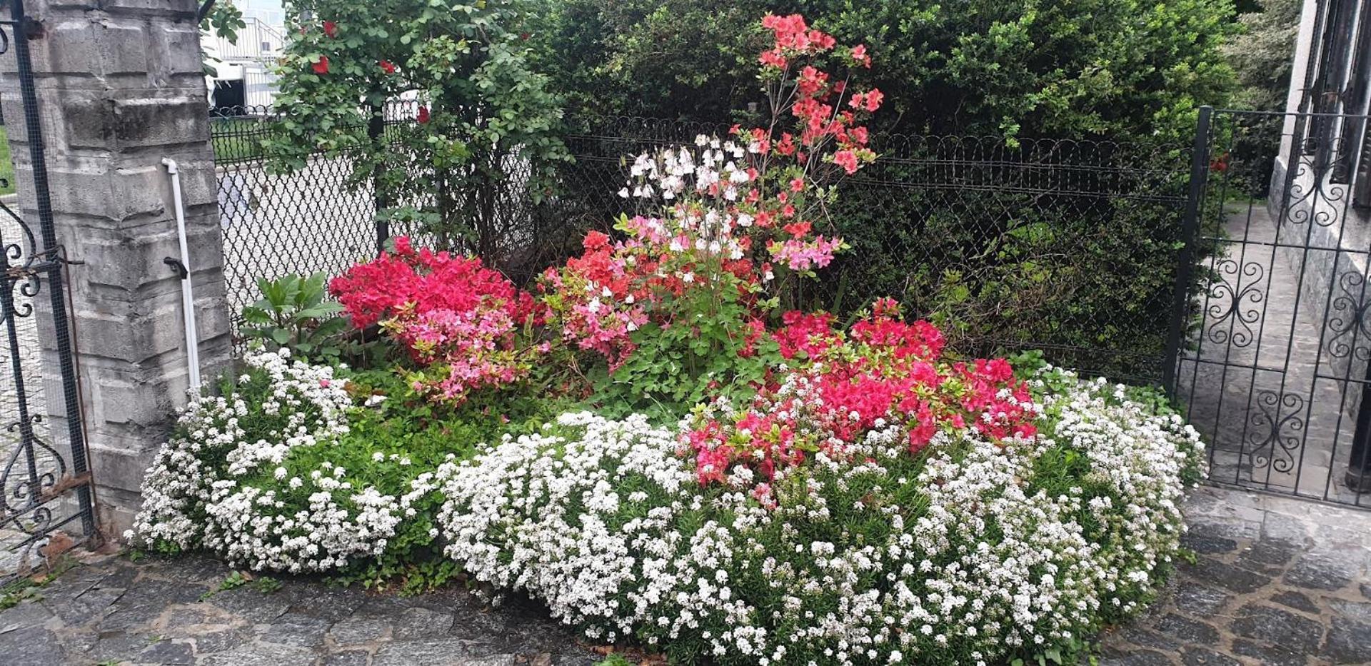 Foreground - Pet Friendly Stay- Garden-parking-lake View- Bike Friendly House * Colico