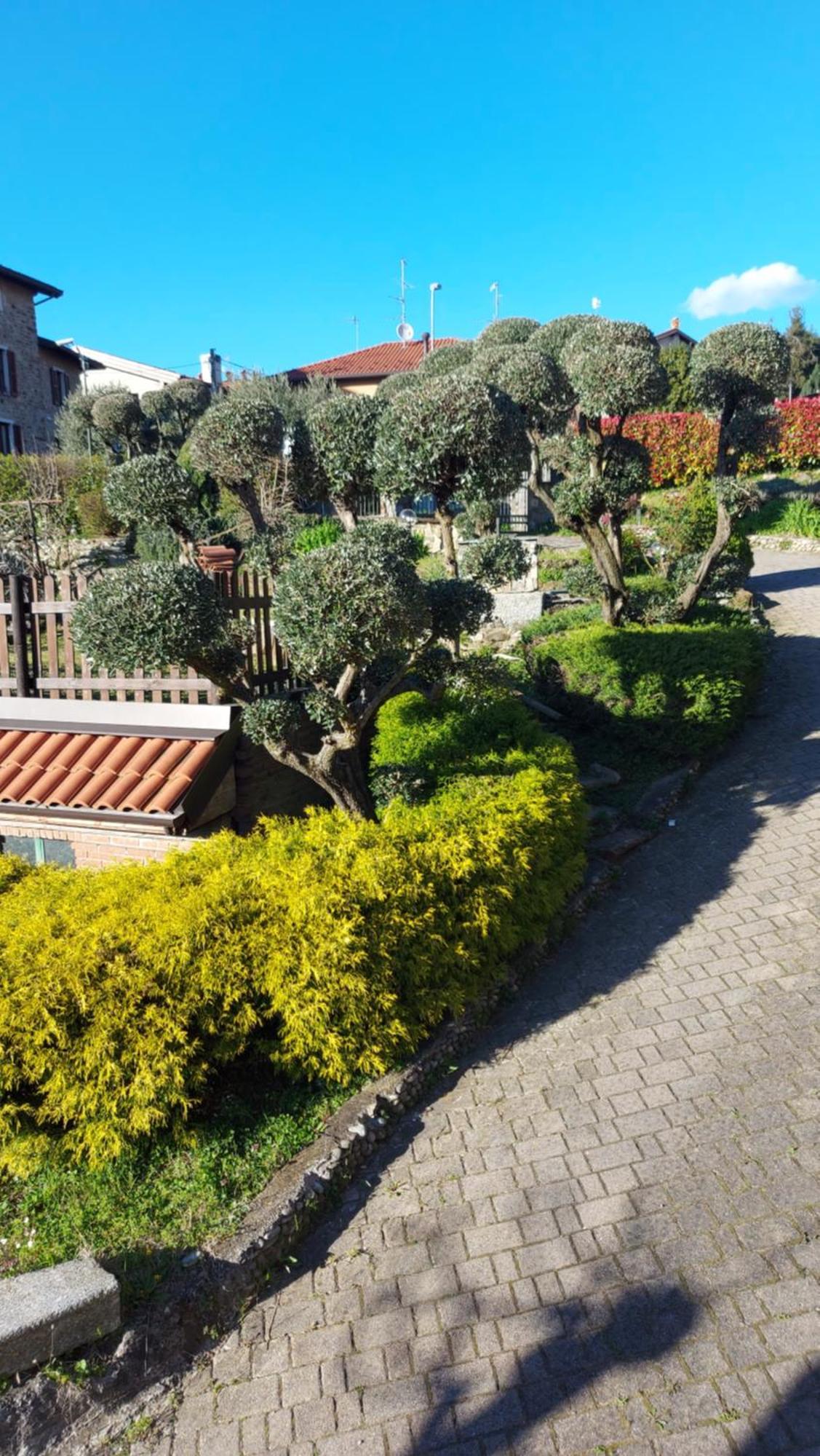 Al Vecchio Lavatoio Guest house