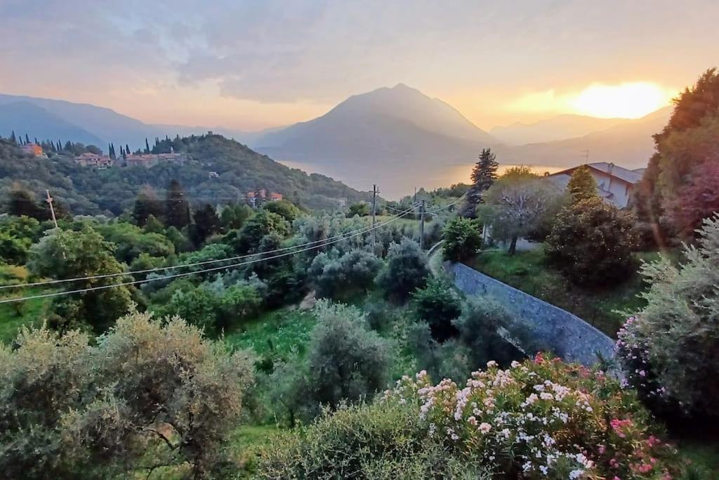 Casa Oliva: Stunning Views And Surroundings * Perledo