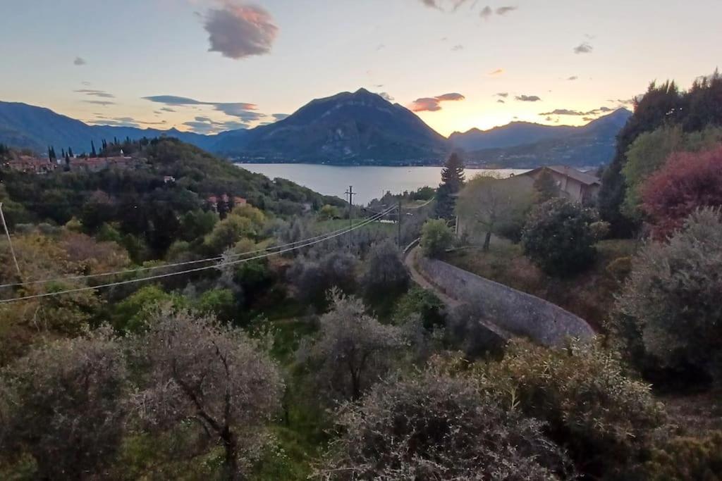 Casa Oliva: Stunning Views And Surroundings Apartment