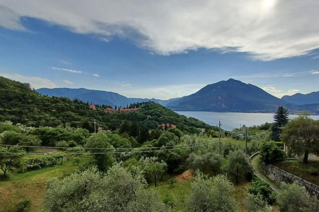 Apartment Casa Oliva: Stunning Views And Surroundings Perledo