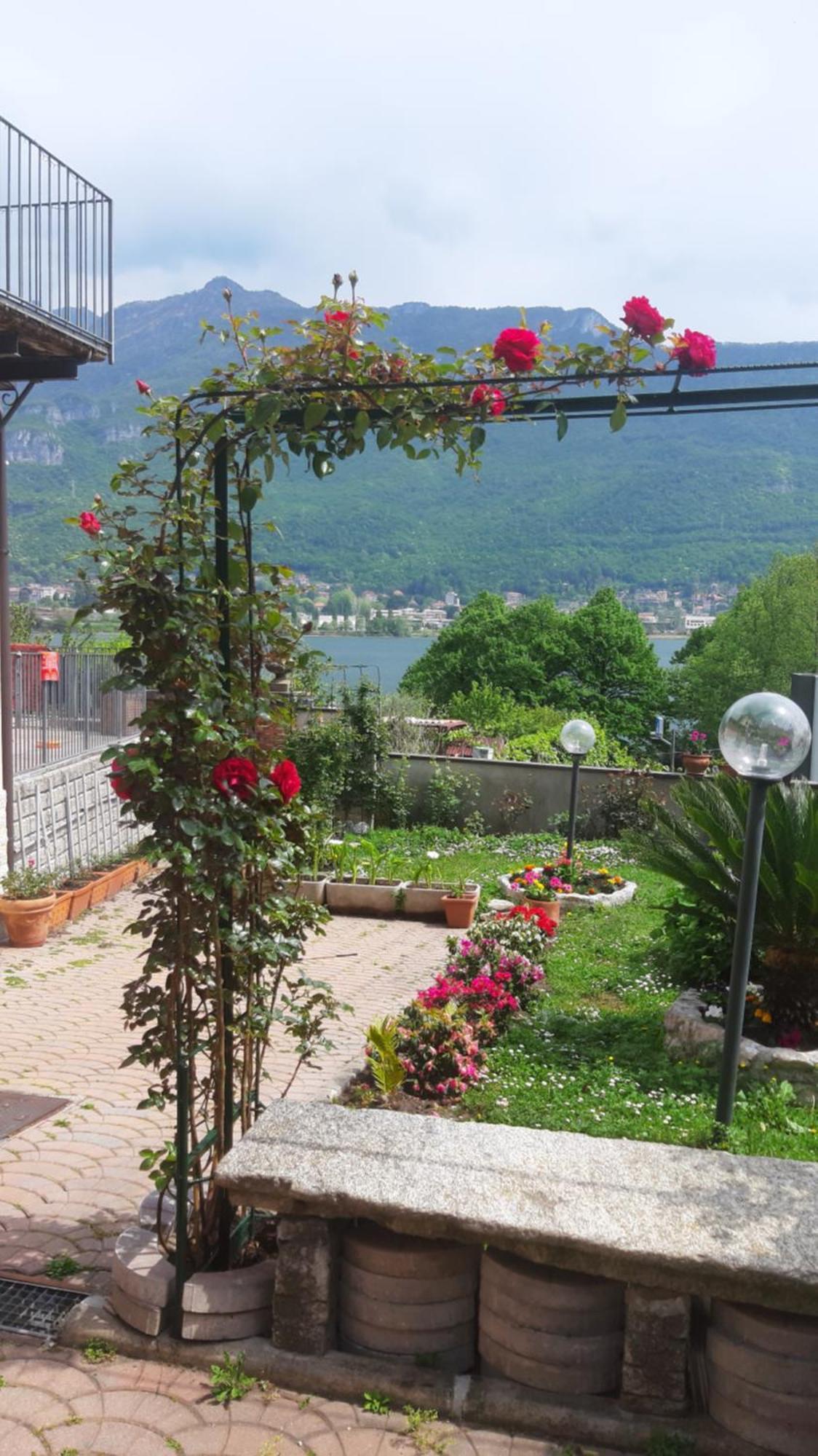 Le Rose Sul Pescate