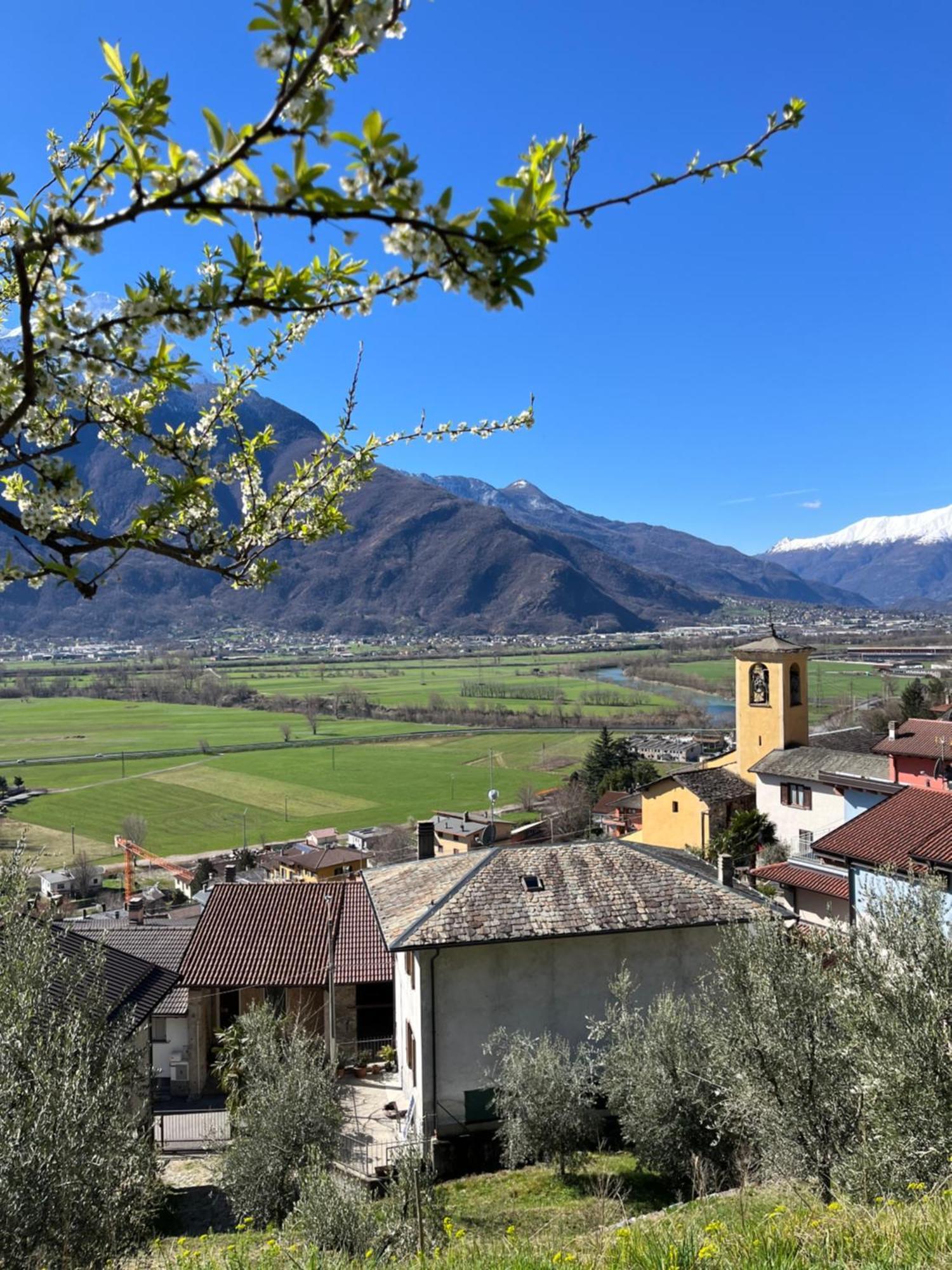 Sotto Al Bosco E Azienda Agricola Bed & Breakfast
