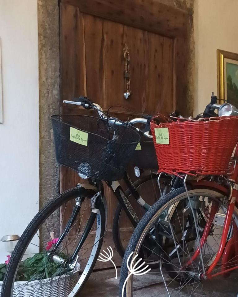Bed & Breakfast La Corte Del Segrino