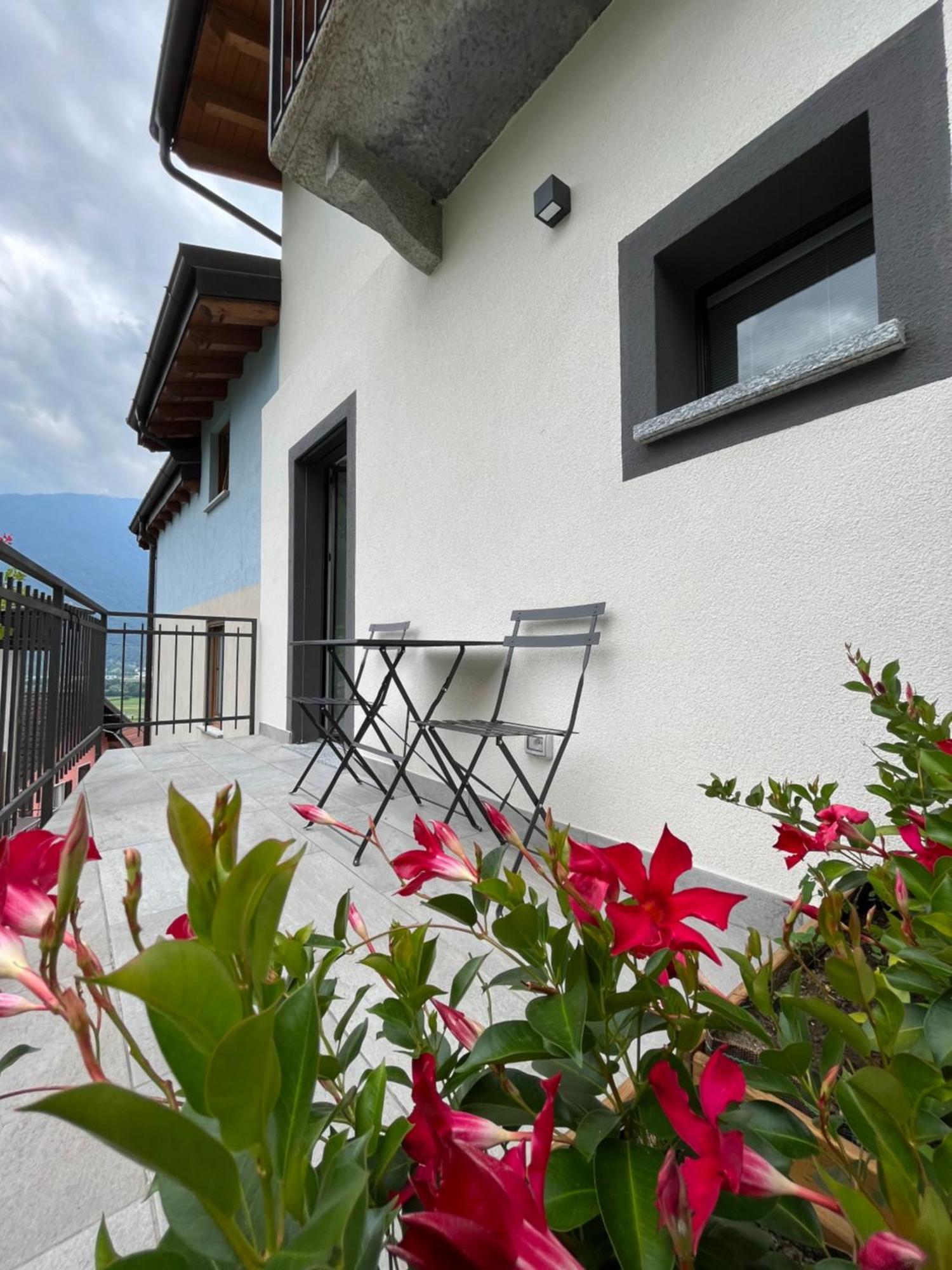 Bed & Breakfast Sotto Al Bosco E Azienda Agricola *