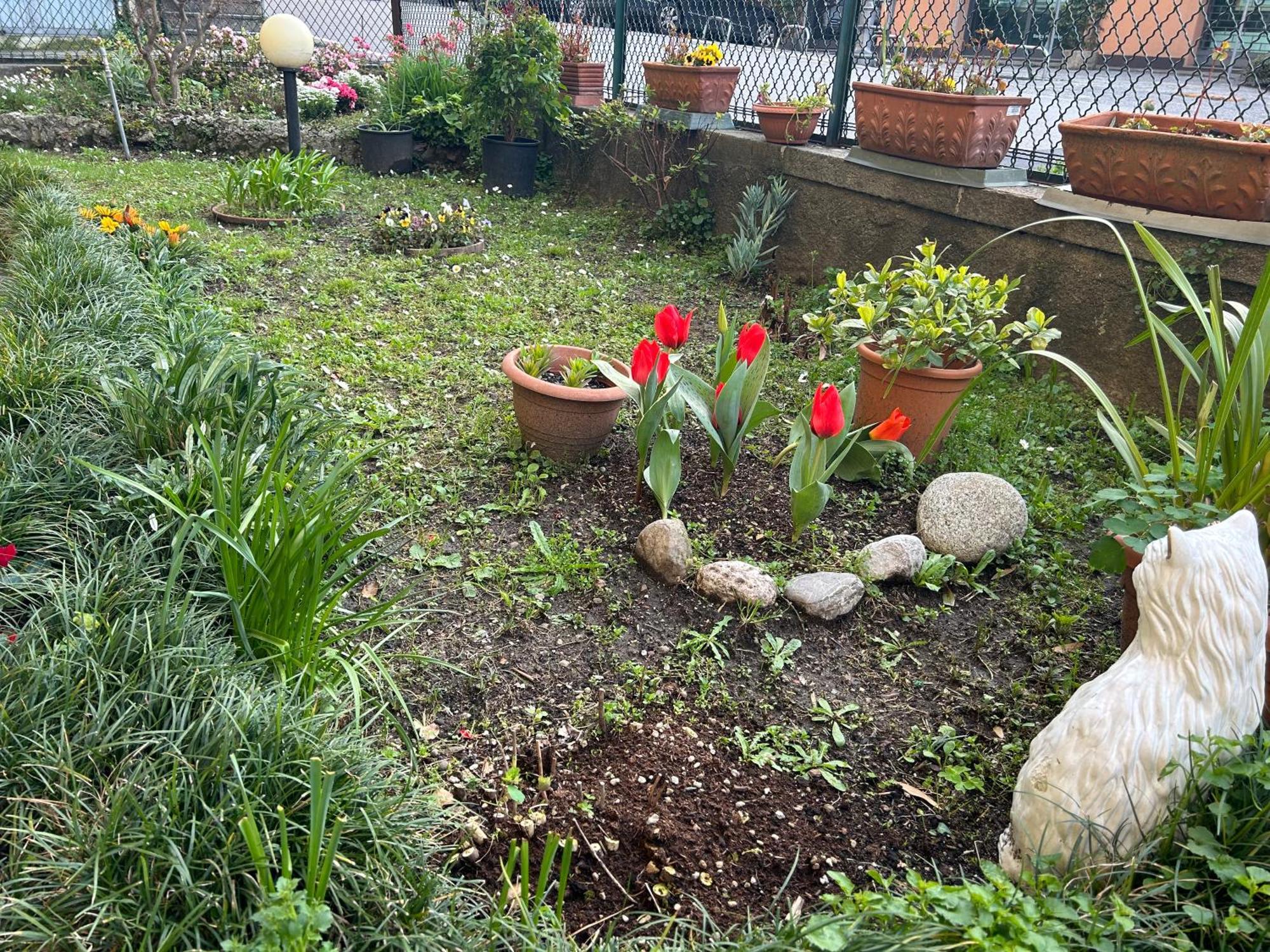 Appartamento Casa Gabriele