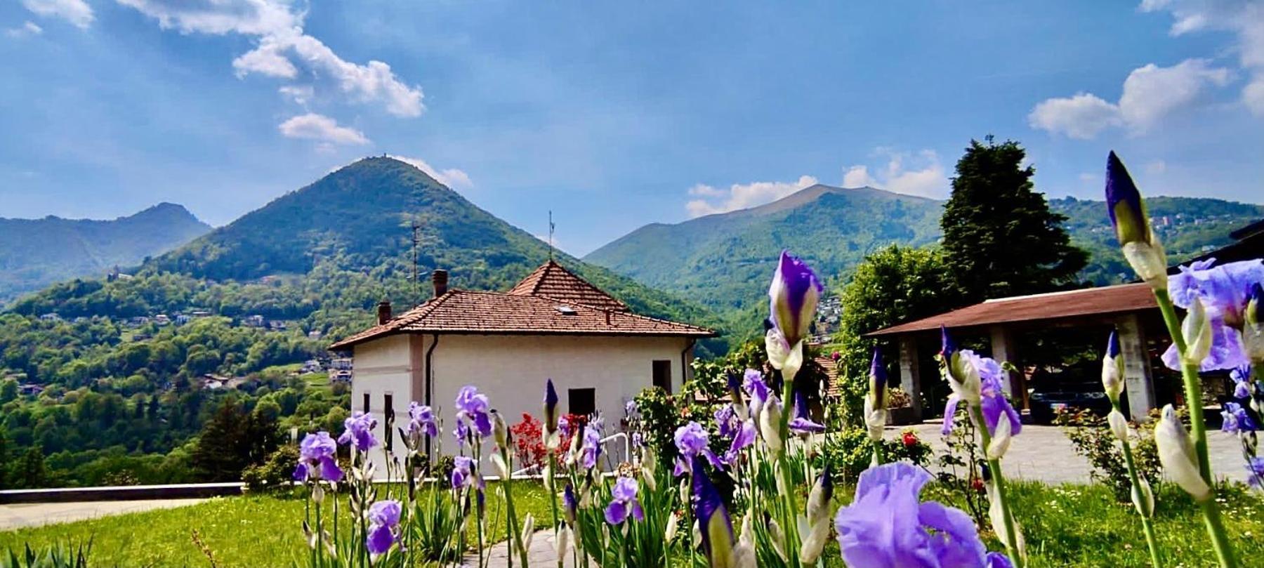 Apartment Oleandra With Garden&swimming Pool