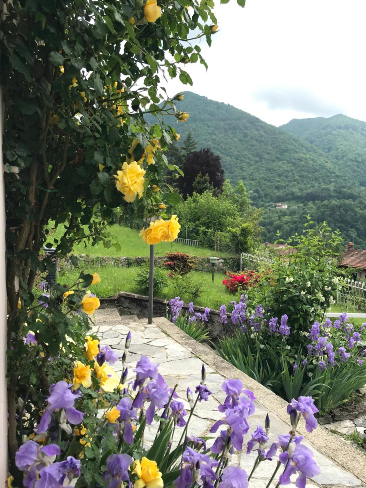 Oleandra With Garden&swimming Pool Apartment Dizzasco