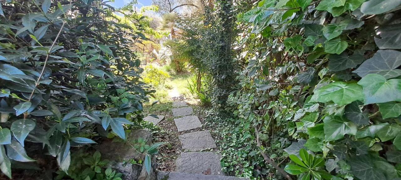 Attico Vista Di E Balbianello Apartment Tremezzo