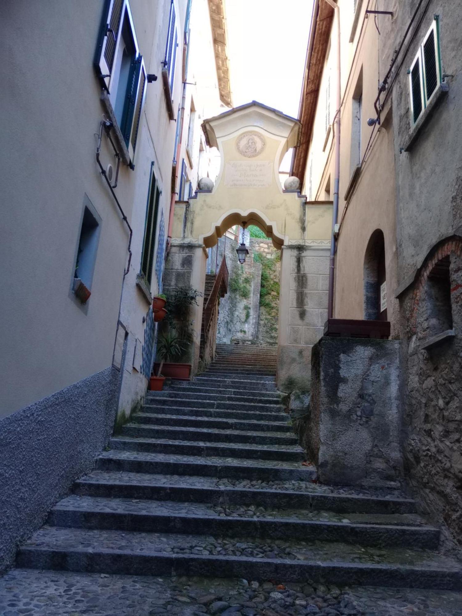 La Mimosa Di Bellano