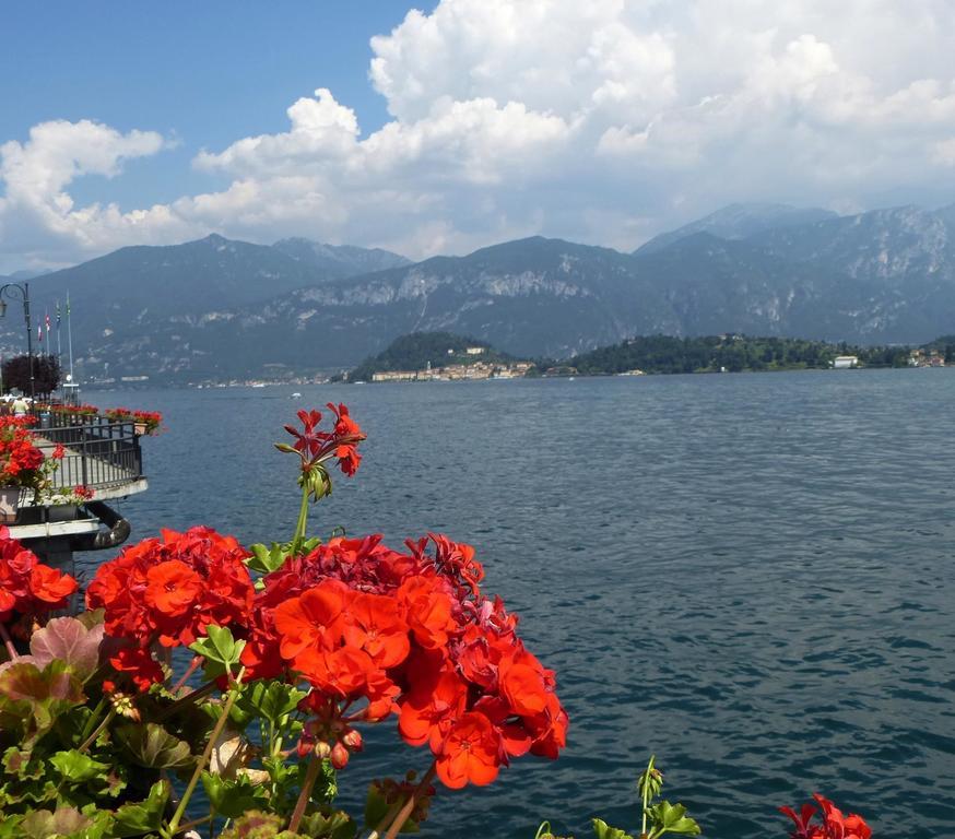 Charming Glicine And Azalea House Art And Colour With Lakeview *