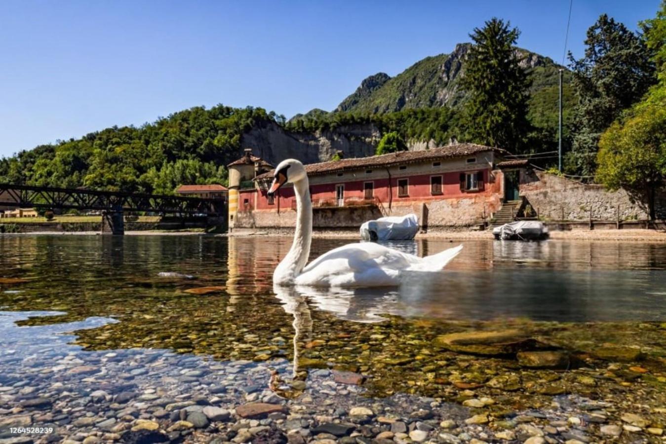 Casa Isola Viscontea