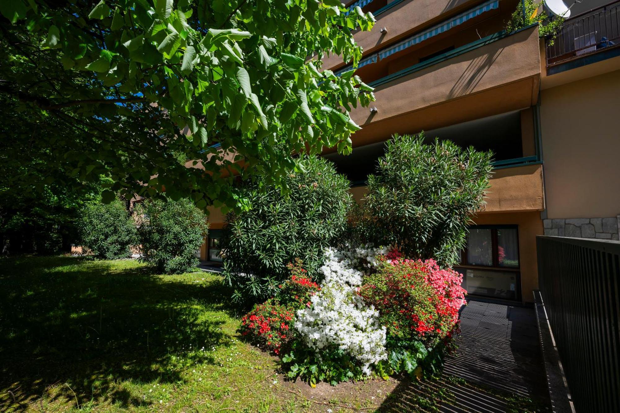 Gelsi * Lecco