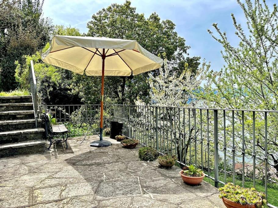 Apartment Free Parking Relax In The Magic Garden *