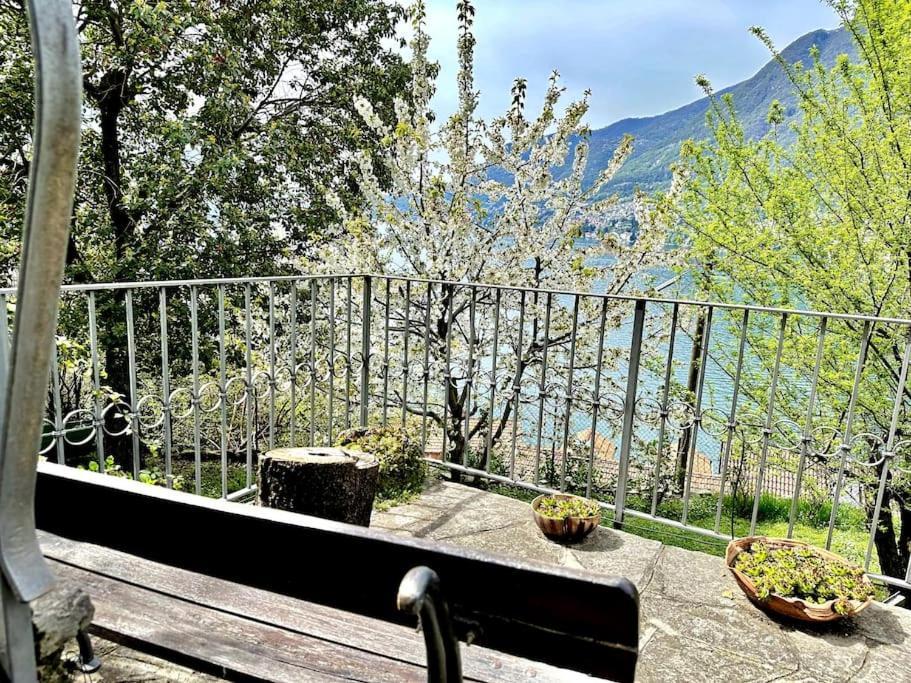 Free Parking Relax In The Magic Garden * Pognana Lario