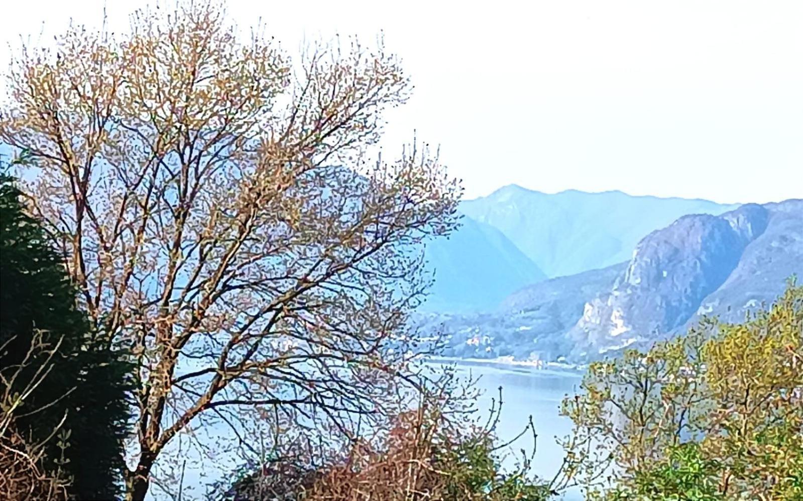 Solare Con Piscina 4 Sueglio